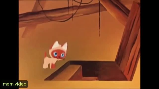Кадр на 0:00
