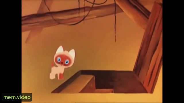 Кадр на 0:00