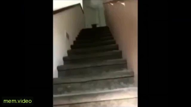 Кадр на 0:06