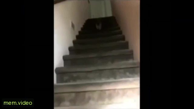 Кадр на 0:07