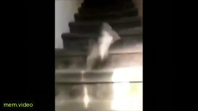 Кадр на 0:08