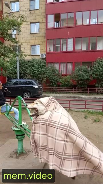 Кадр на 0:00