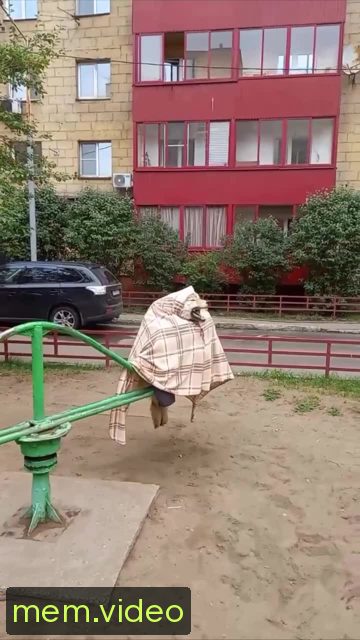 Кадр на 0:05