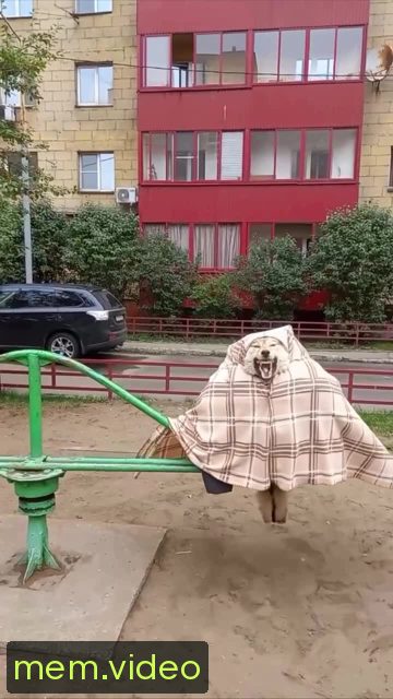 Кадр на 0:06