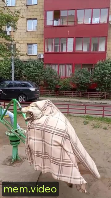 Кадр на 0:08