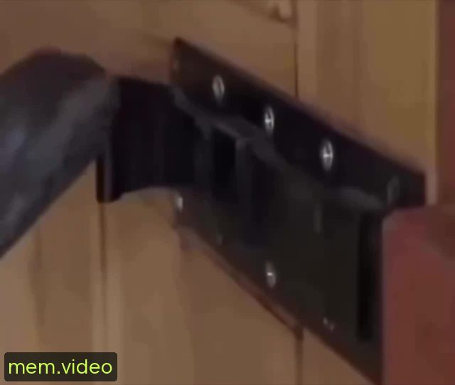 Кадр на 0:00