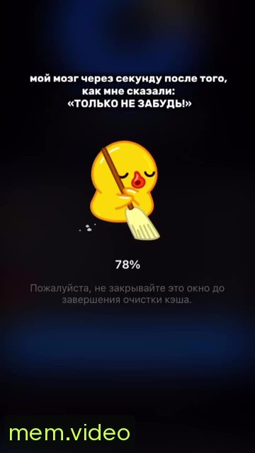 Кадр на 0:00