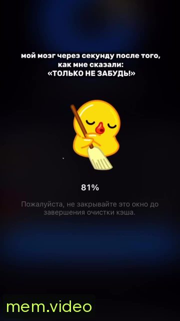 Кадр на 0:00