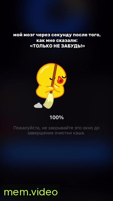 Кадр на 0:05