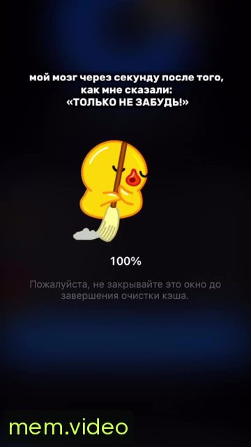 Кадр на 0:05