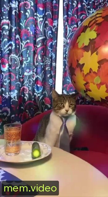 Кадр на 0:02