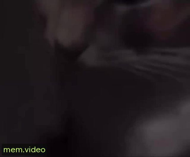 Кадр на 0:00