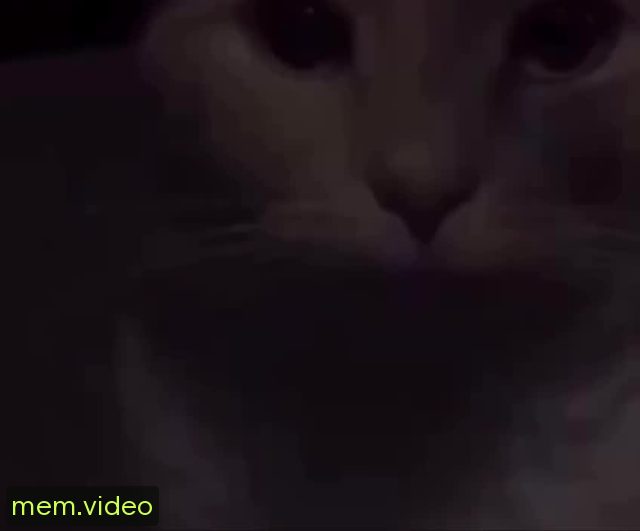 Кадр на 0:03