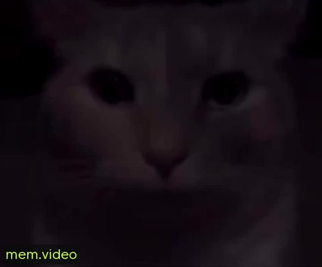 Кадр на 0:04