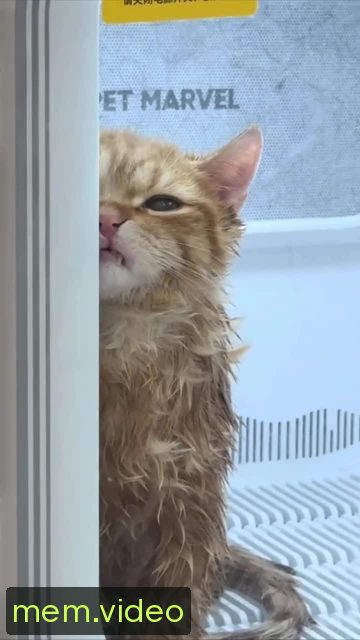 Кадр на 0:01