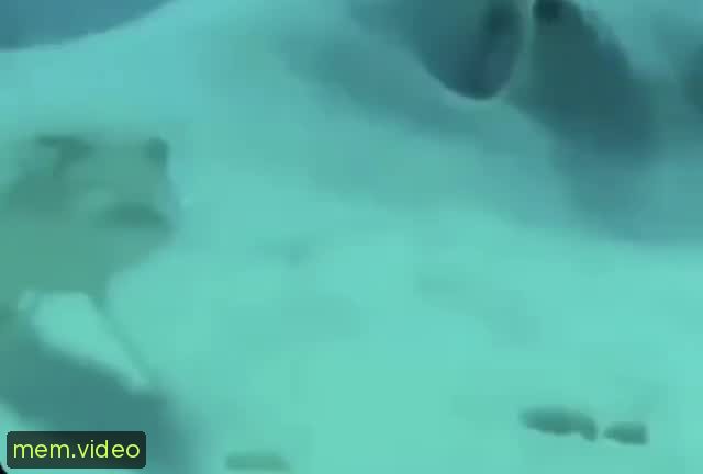 Кадр на 0:00