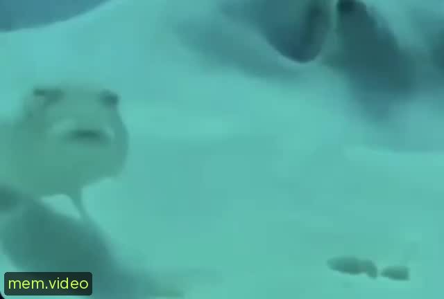 Кадр на 0:01