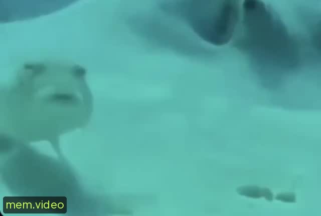 Кадр на 0:01