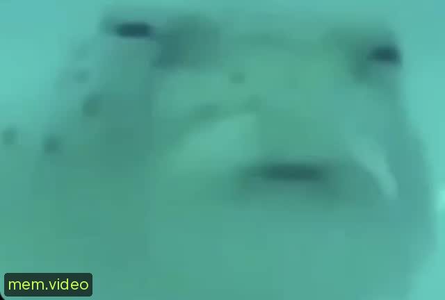 Кадр на 0:01