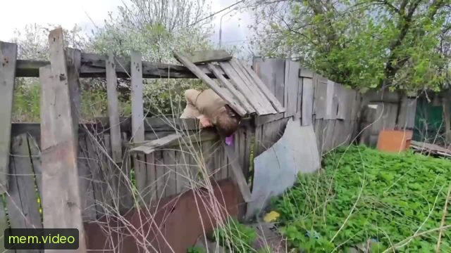Кадр на 0:00