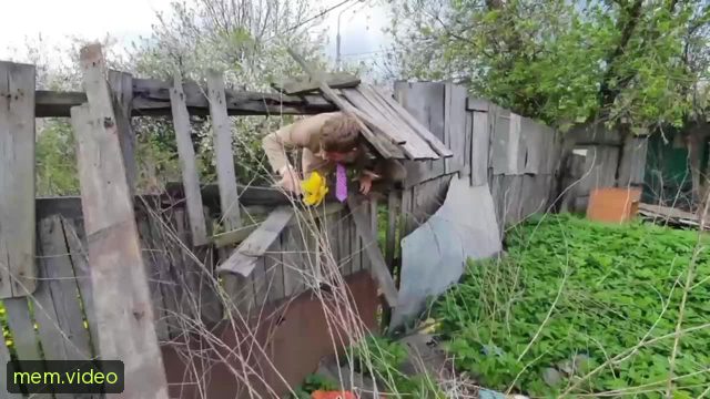 Кадр на 0:05