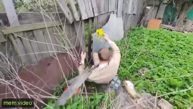 Кадр на 0:10