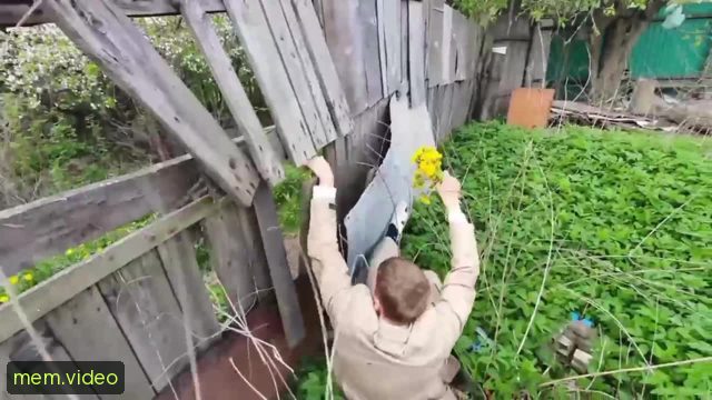 Кадр на 0:15