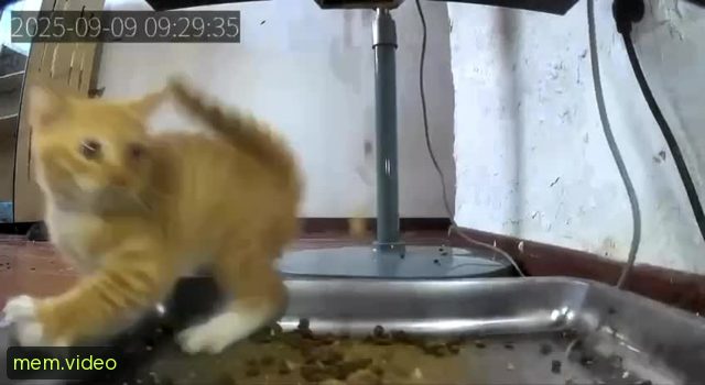 Кадр на 0:02