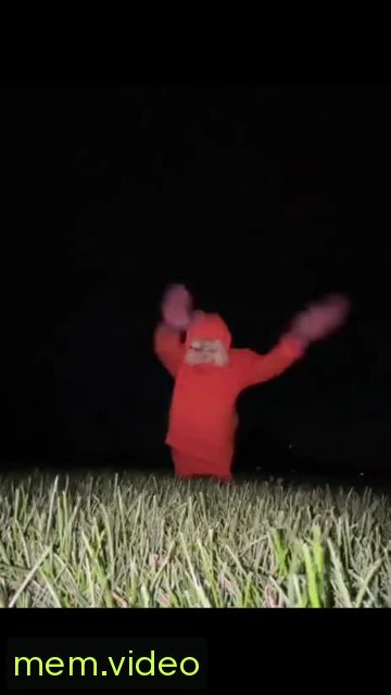 Кадр на 0:06