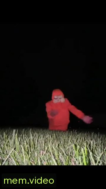 Кадр на 0:07