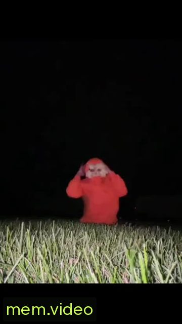 Кадр на 0:09