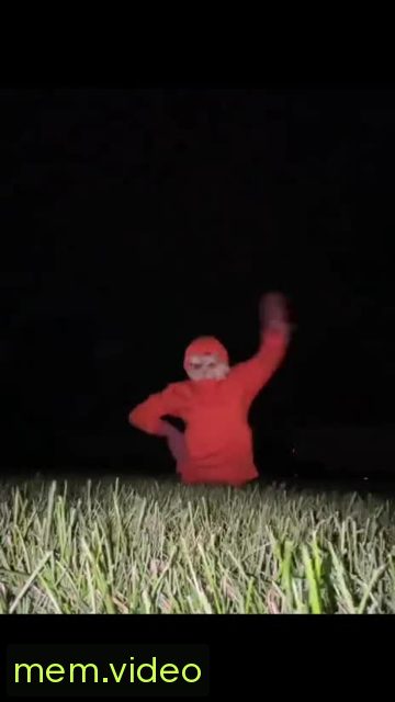 Кадр на 0:10