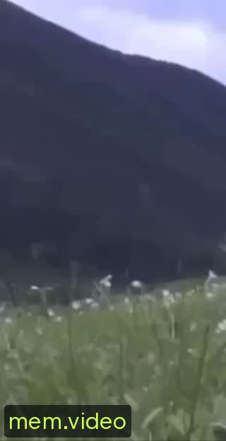Кадр на 0:19