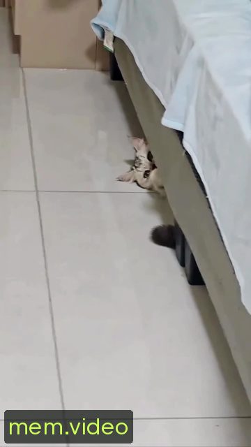 Кадр на 0:07