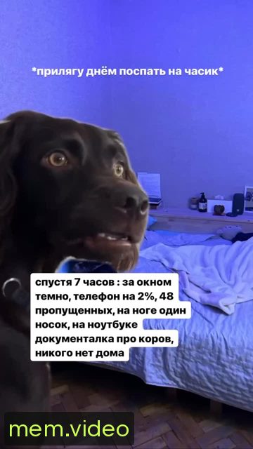 Кадр на 0:00
