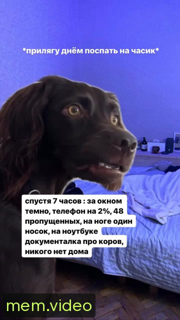 Кадр на 0:00