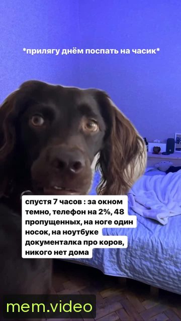 Кадр на 0:03