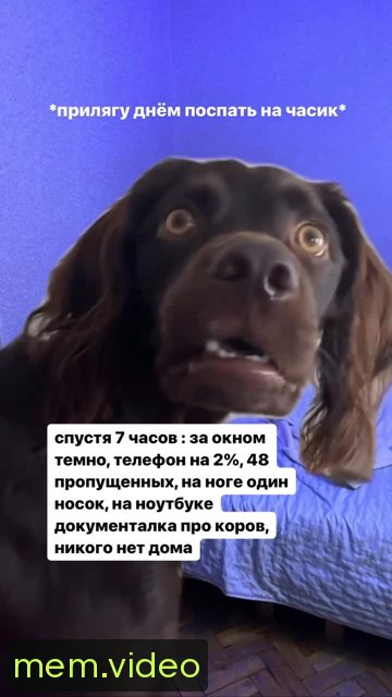 Кадр на 0:05