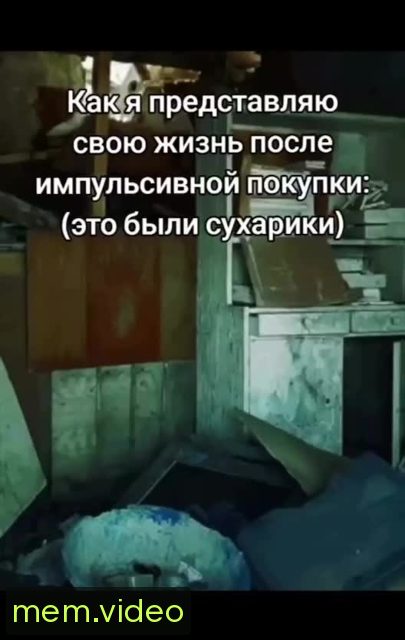 Кадр на 0:00
