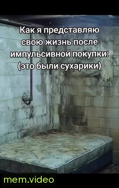 Кадр на 0:04