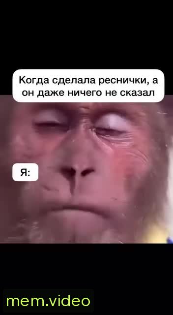 Кадр на 0:00
