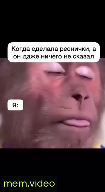 Кадр на 0:00