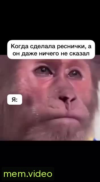 Кадр на 0:01