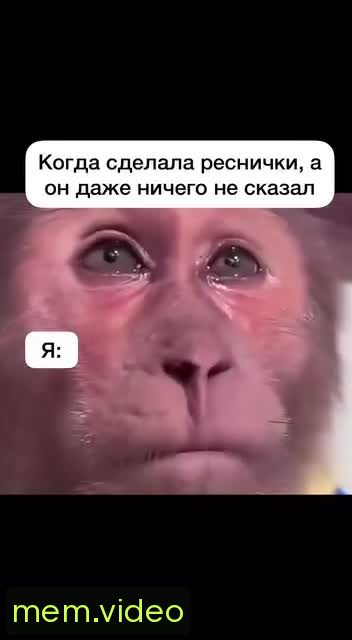 Кадр на 0:01