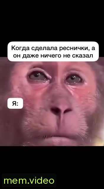 Кадр на 0:02