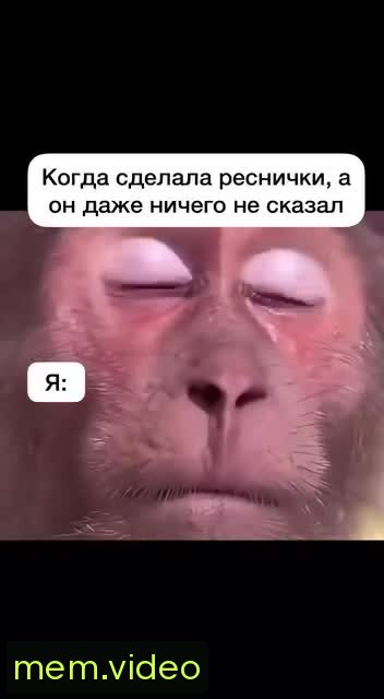 Кадр на 0:02