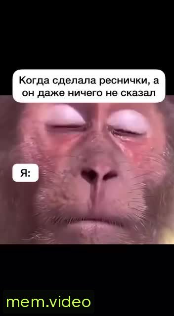 Кадр на 0:03