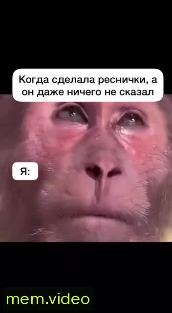 Кадр на 0:03