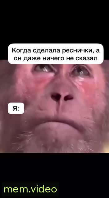 Кадр на 0:04