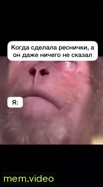Кадр на 0:05